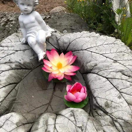 Garden In Lägenhet *