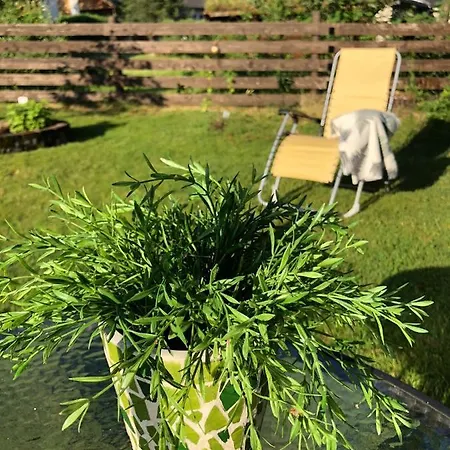 Garden In * Gol
