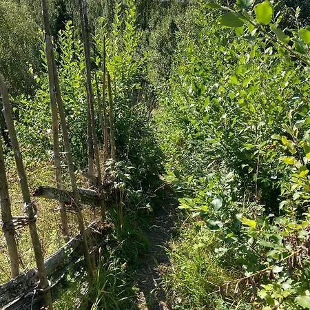 Apartment Garden In Gol