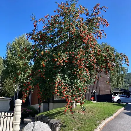 Apartment Garden In Gol