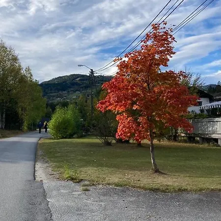 Garden In Gol