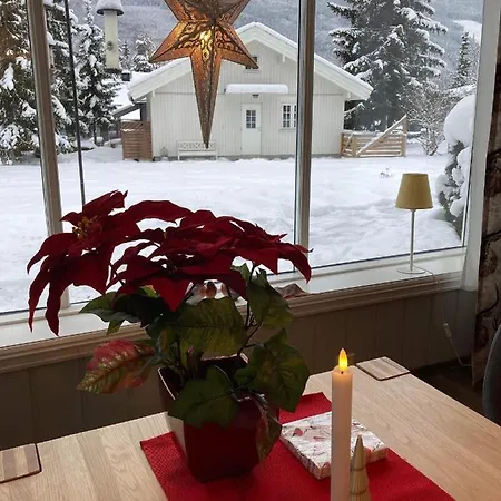 Garden In Apartment