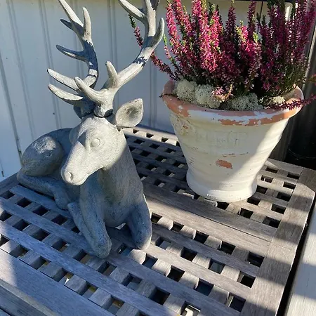 Garden In