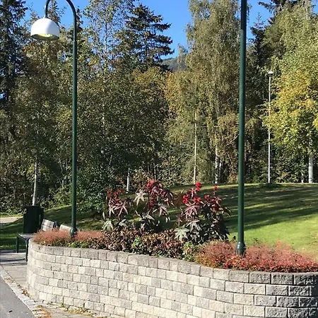 Apartment Garden In *