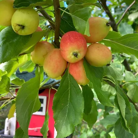 Appartamento Garden In Gol