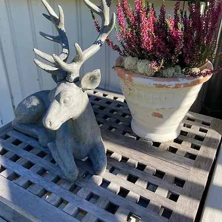 Garden In